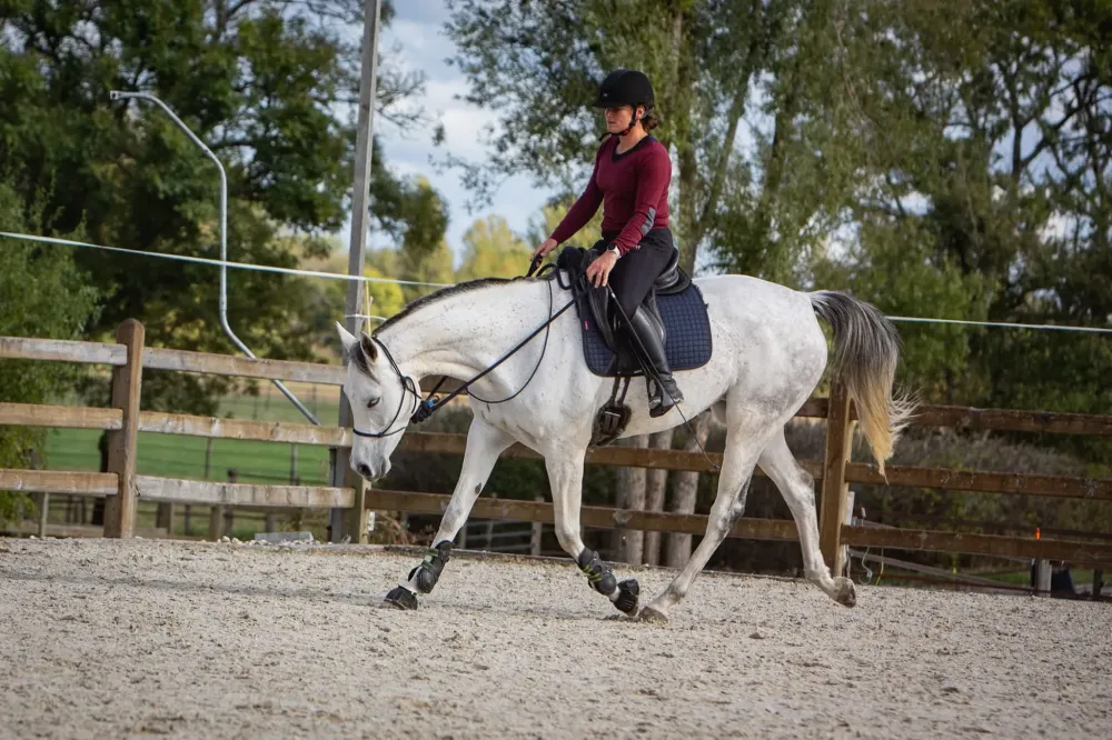 Travail du cheval à Grignols