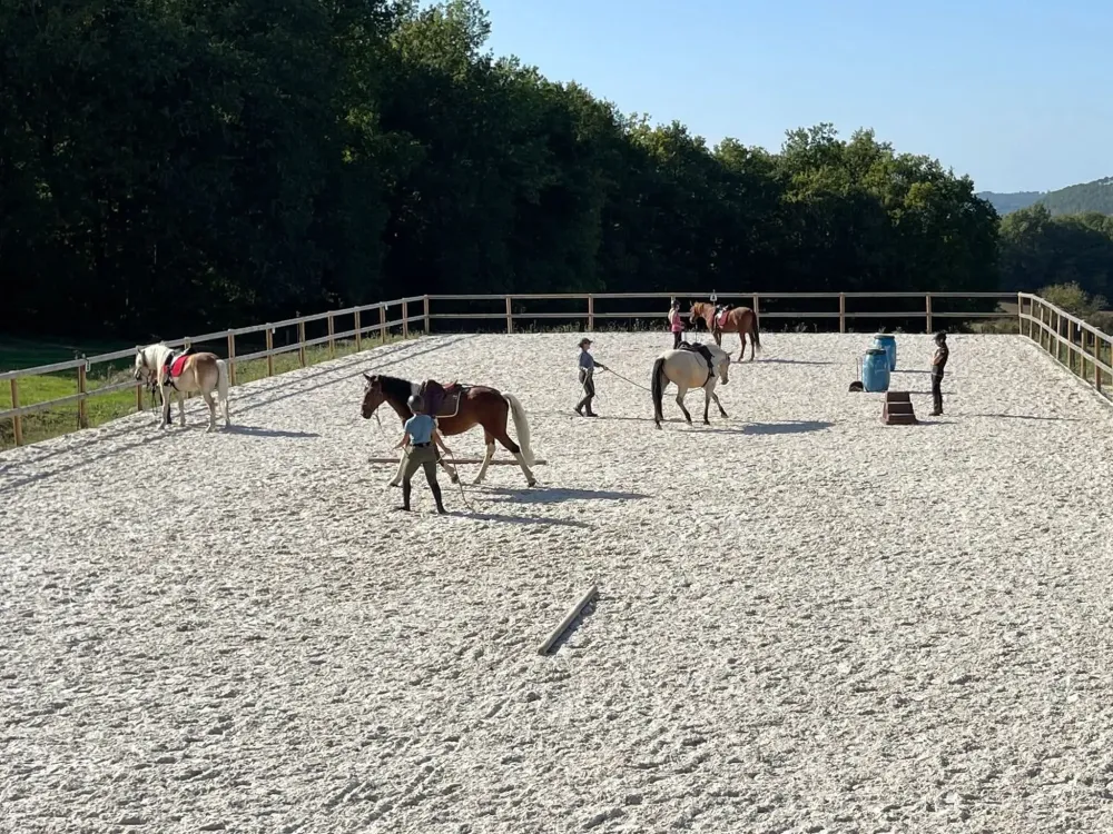 Éducation du cheval à Grignols