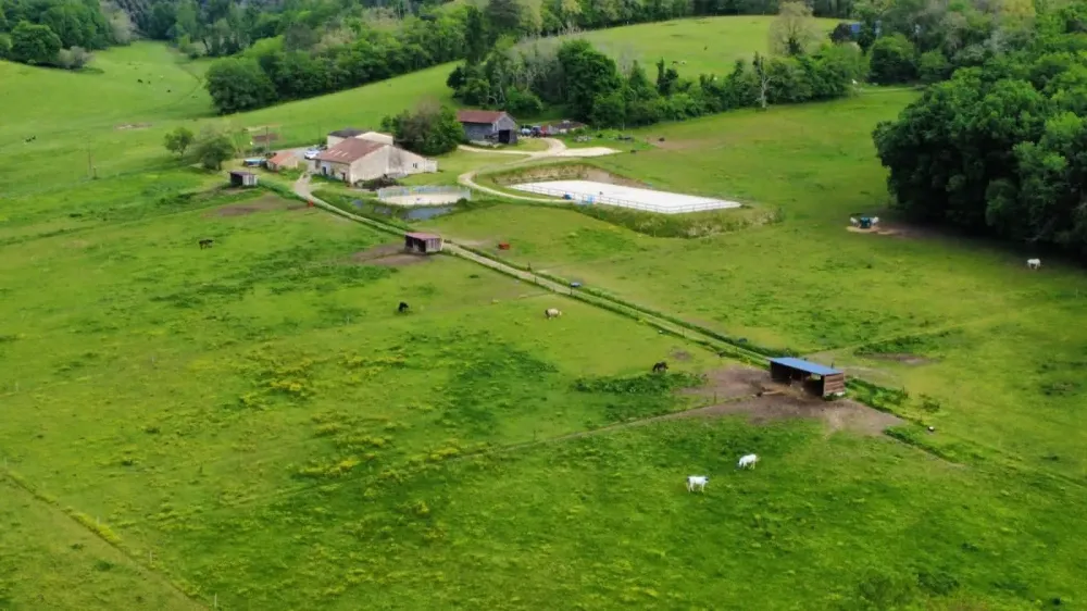 Pension pour chevaux à Grignols